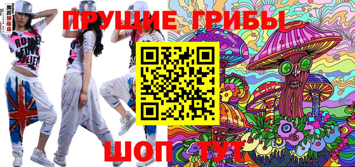 Псилоцибиновые грибы Cubensis Дубна