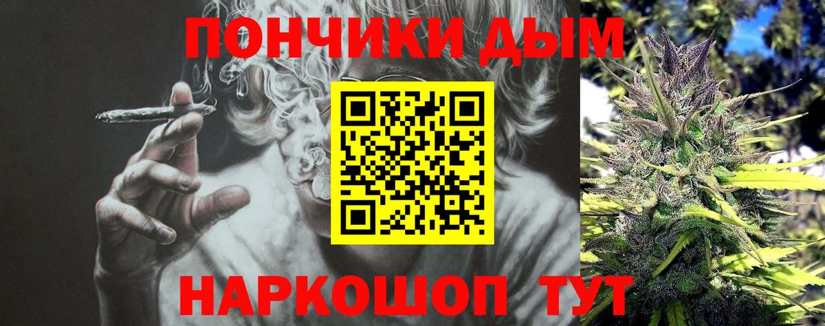 Бошки марихуана конопля Дубна